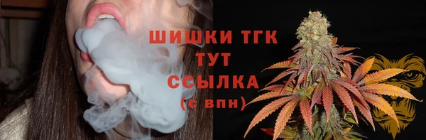 крисы Абдулино