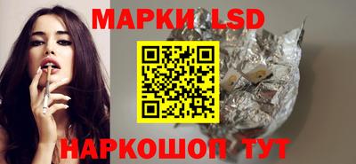 индика Нальчик