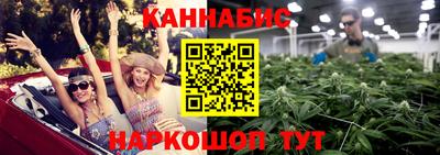 индика Нальчик