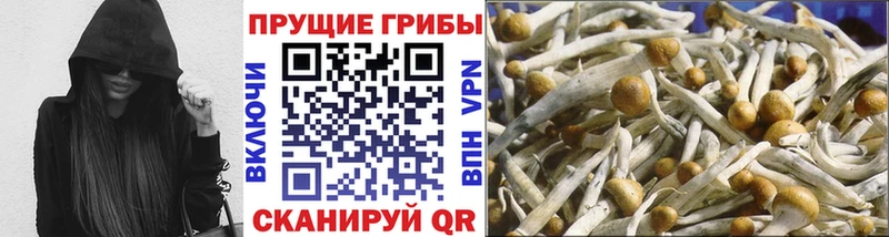 omg ССЫЛКА  Азов  Галлюциногенные грибы MAGIC MUSHROOMS 